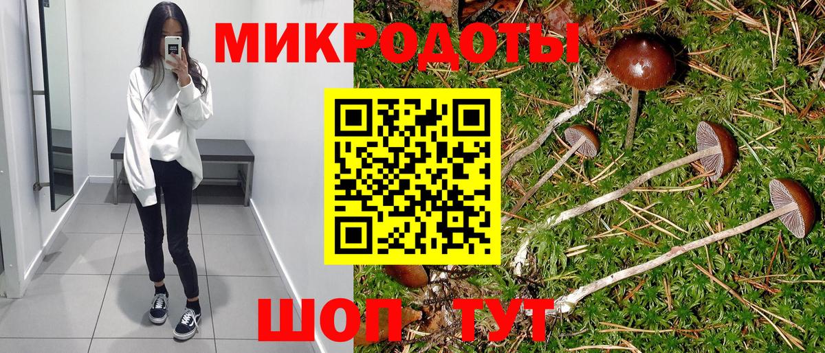 Псилоцибиновые грибы GOLDEN TEACHER  Вход с VPN  Минеральные Воды 