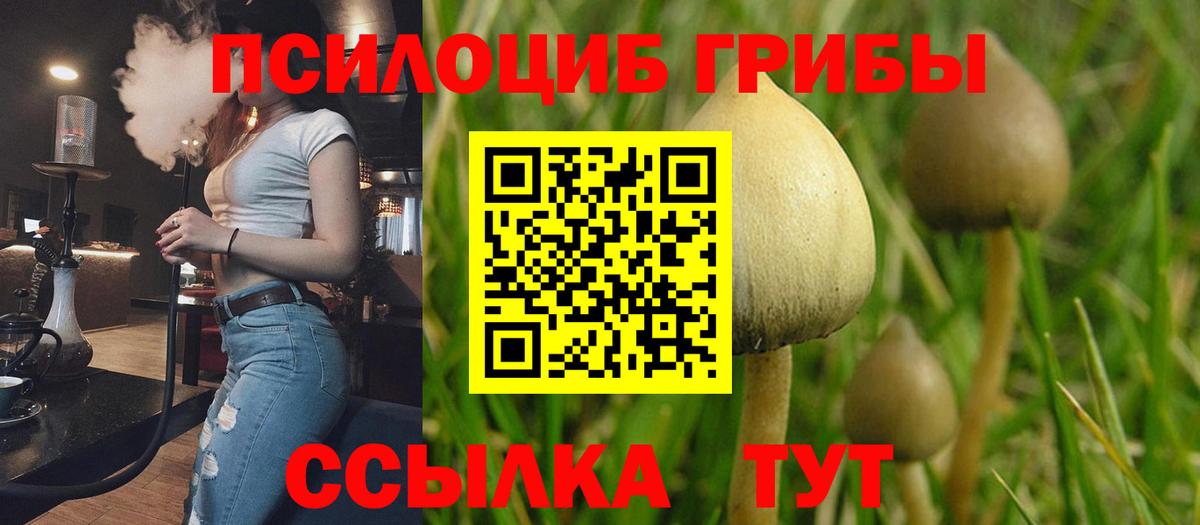 Псилоцибиновые грибы Psilocybine cubensis Минеральные Воды