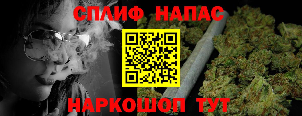 Минеральные Воды  Шишки марихуана индика  Вход с VPN  Конопля Bruce Banner  Бошки марихуана индика 